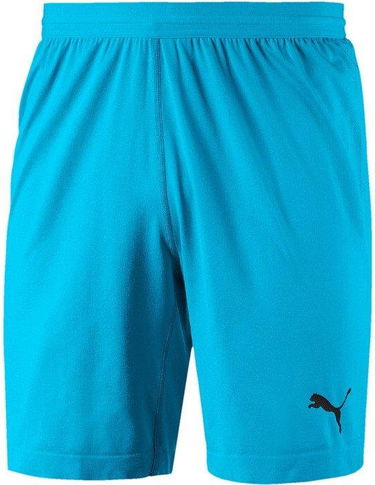 Šortky Puma FINAL evoKNIT GK Shorts Tyrkysová | 70345508, 0