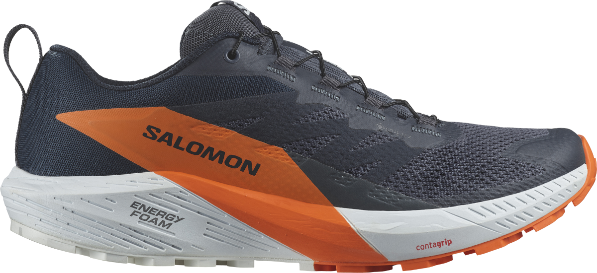 Tenisky a topánky Salomon SENSE RIDE 5 GTX Čierna | l47459400, 0
