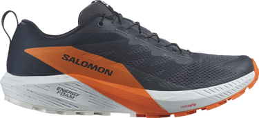 Tenisky a topánky Salomon SENSE RIDE 5 GTX Čierna | l47459400, 0