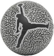 Jordan Skills 2.0 Graphic Basketball