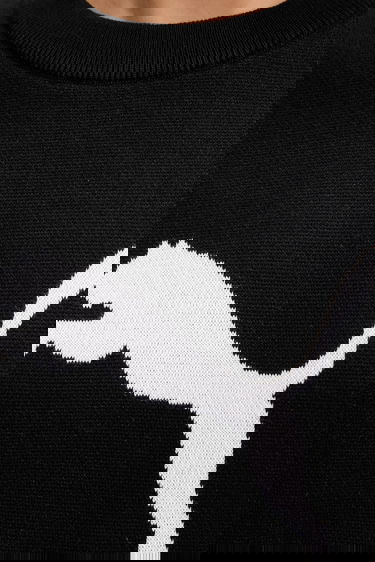 Sveter Puma Vertical Stripe Color Block Crewneck Knit Sweater Čierna | 632294, 9