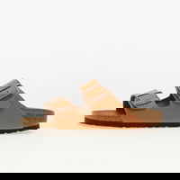 Arizona BFBC Earthy Vegan Pecan VEG