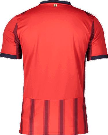 Dres Puma Puma 1. FC Heidenheim 2025/26 Jersey Červená | 6fch785893-01, 1