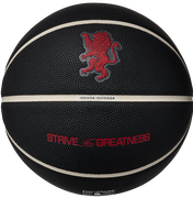 Basketball All Court 8P 2.0 L James Strive For Greatness Indoor/Outdoor