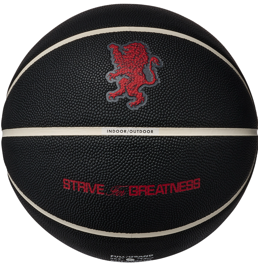 Športový doplnok Nike Basketball All Court 8P 2.0 L James Strive For Greatness Indoor/Outdoor Čierna | 901737-10154, 0