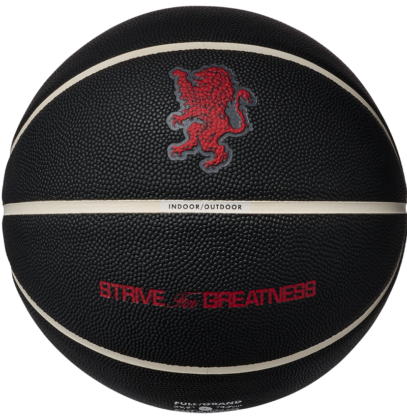 Športový doplnok Nike Basketball All Court 8P 2.0 L James Strive For Greatness Indoor/Outdoor Čierna | 901737-10154