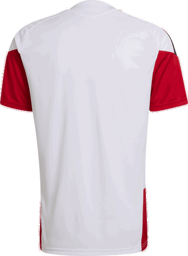 Dres adidas Originals Germany Tiro 26 Training T-Shirt Rôznofarebný | kb4440, 1