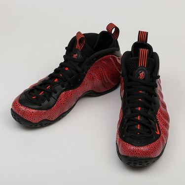 Tenisky a topánky Nike Air Foamposite One Červená | 314996-014, 2