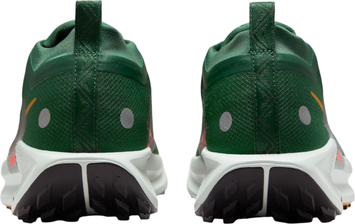 Tenisky a topánky Nike Pegasus Trail 5 GORE-TEX Zelené | fq0908-301, 1