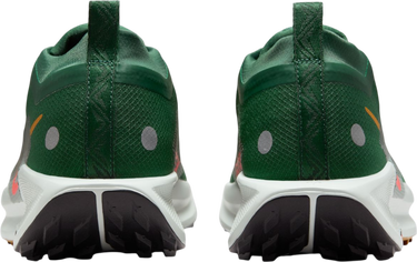 Tenisky a topánky Nike Pegasus Trail 5 GORE-TEX Zelené | fq0908-301, 1