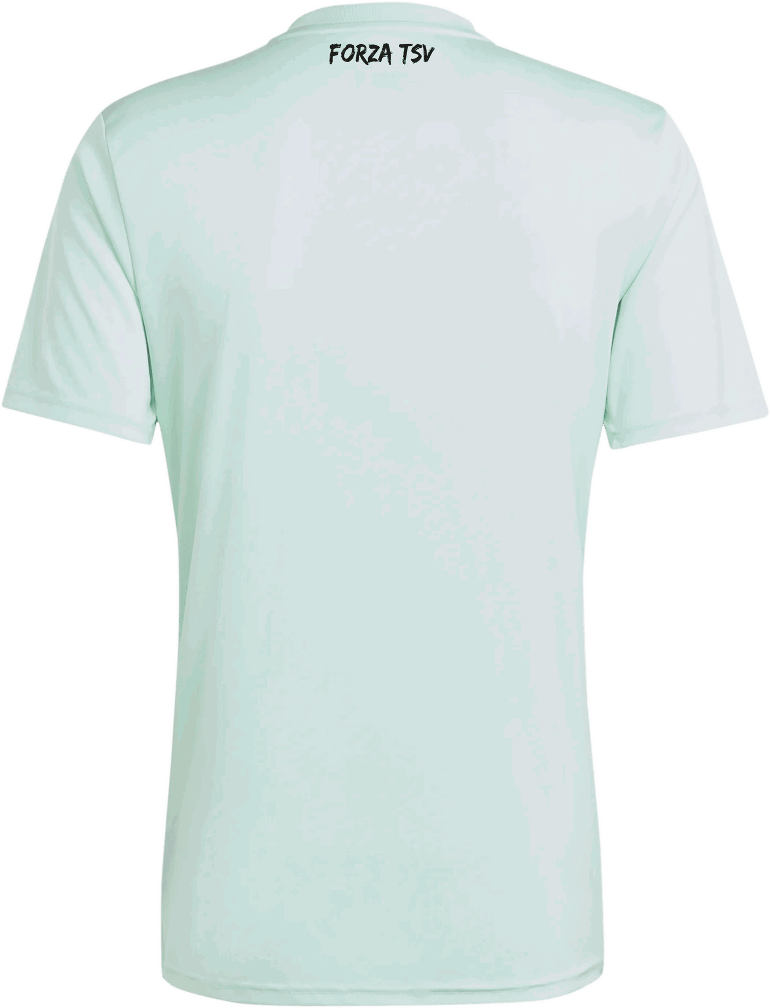 Dres adidas Originals TSV Hartberg 2024/2025 Jersey Zelené | tsvic1252, 1