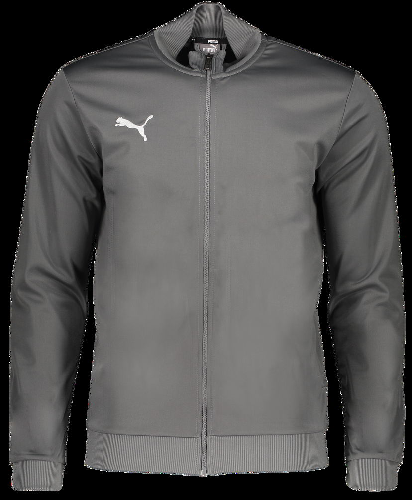 Bunda Puma teamGOAL Casual Trainings jacket Šedá | 658776-13