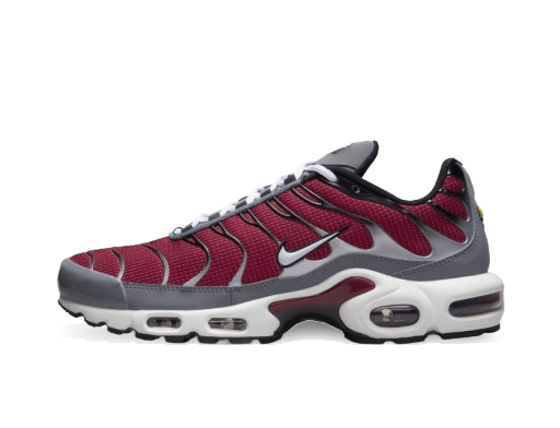 Lifestyle Nike Air Max Plus M Rôznofarebný | DQ3983-600