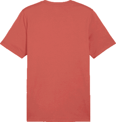 Tričko Puma BVB T-shirt ftblICONS Červená | 774254-04, 1