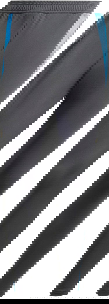 Nohavice adidas Originals AFA TR PNT 2024 Šedá | iq0824, 1