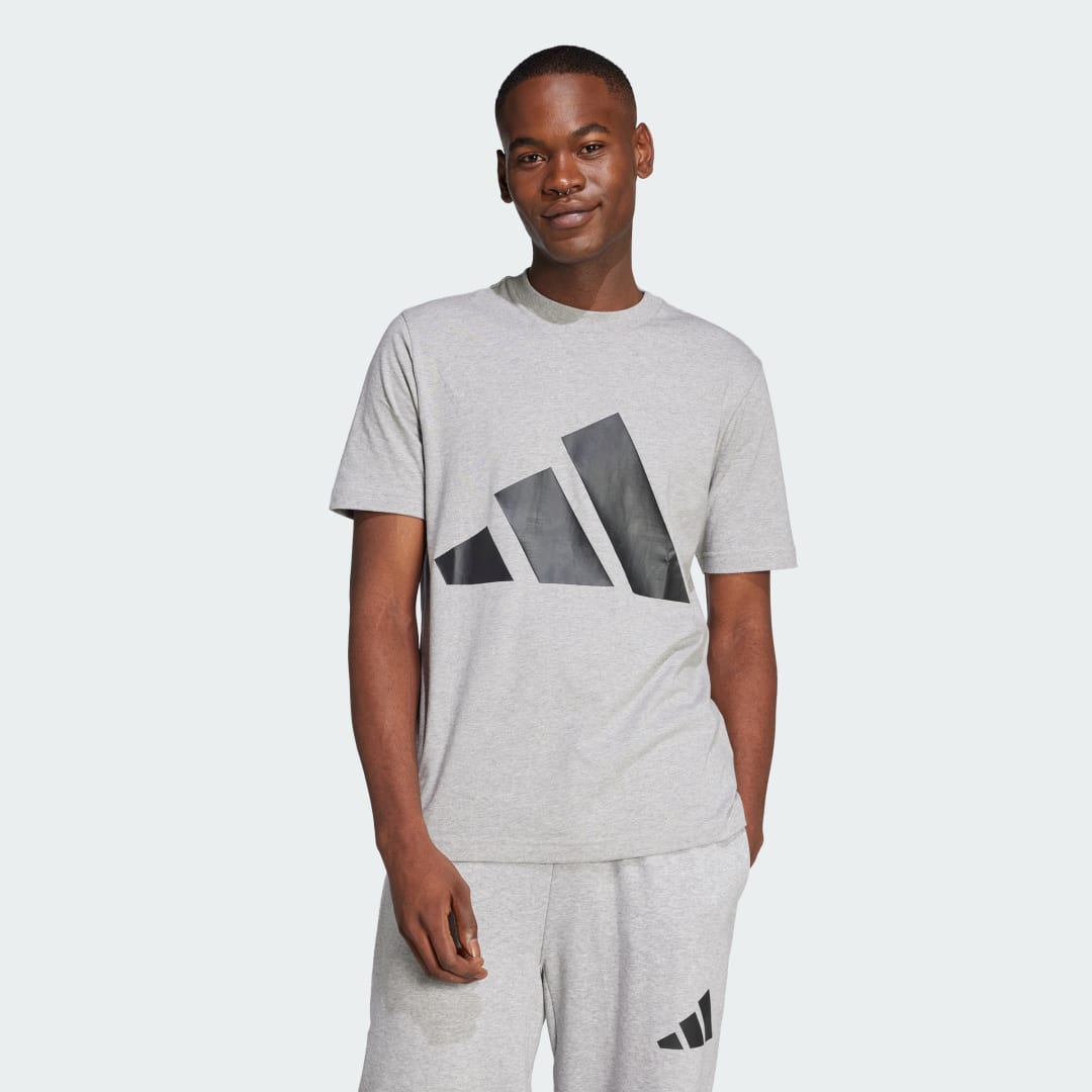 Tričko adidas Performance Essentials Big Logo T-Shirt Šedá | JE8948, 0