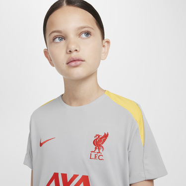 Tričko Nike Liverpool FC Strike Dri-FIT Short Sleeve Knit Football Top Šedá | FQ2631-078, 2
