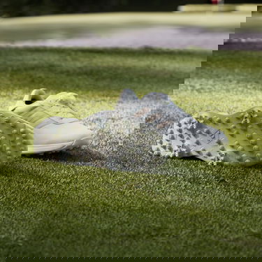 Oblečenie adidas Performance Boty S2G BOA 24 Golf Biela | IF0320, 4