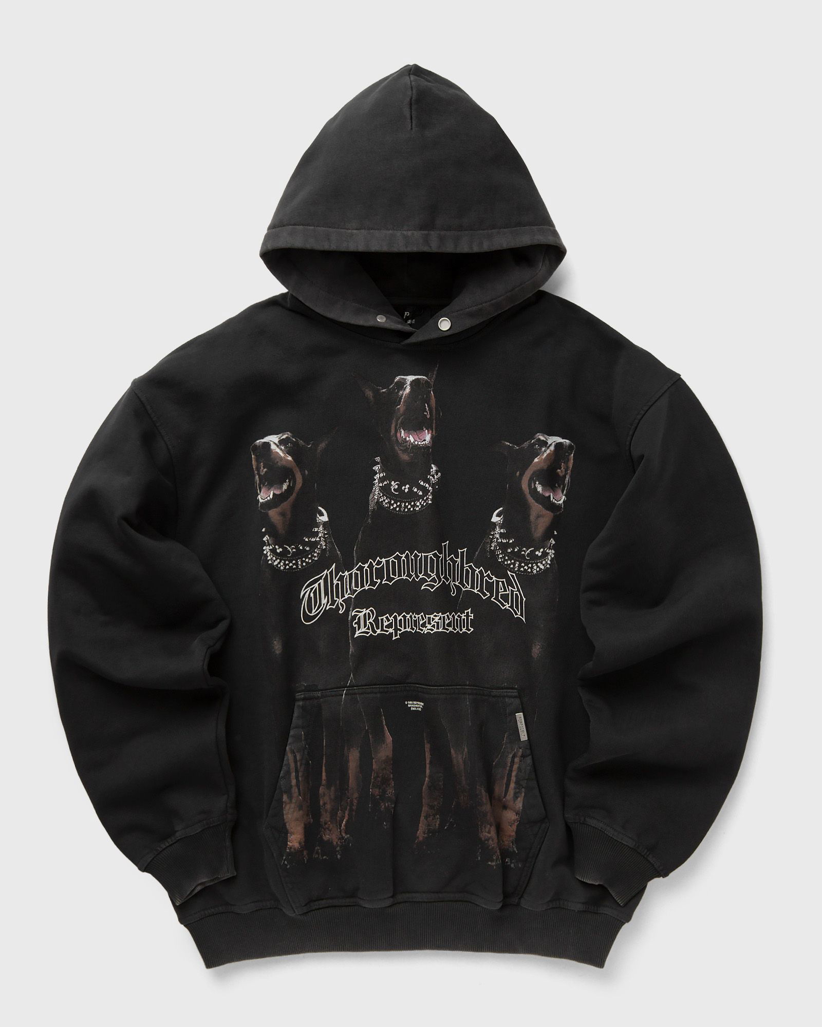 Represent THOROUGHBRED HOODIE