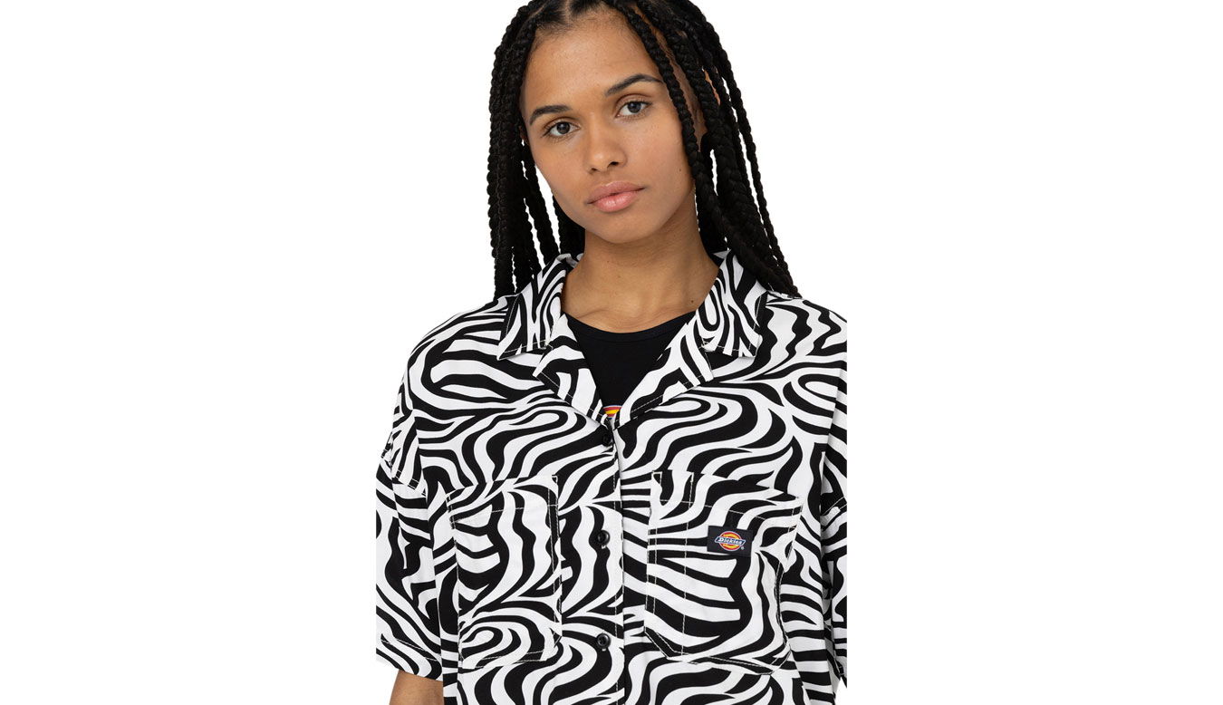 Tričko Dickies Leesburg Cloud Zebra Rôznofarebný | DK0A4Y7TF31, 1