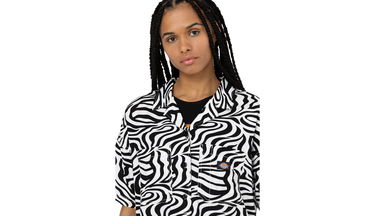 Tričko Dickies Leesburg Cloud Zebra Rôznofarebný | DK0A4Y7TF31, 1