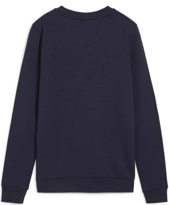 Mikina Puma teamGOAL Casuals Sweatshirt Navy | 658594-06, 1