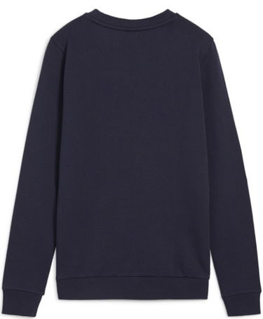Mikina Puma teamGOAL Casuals Sweatshirt Navy | 658594-06, 1