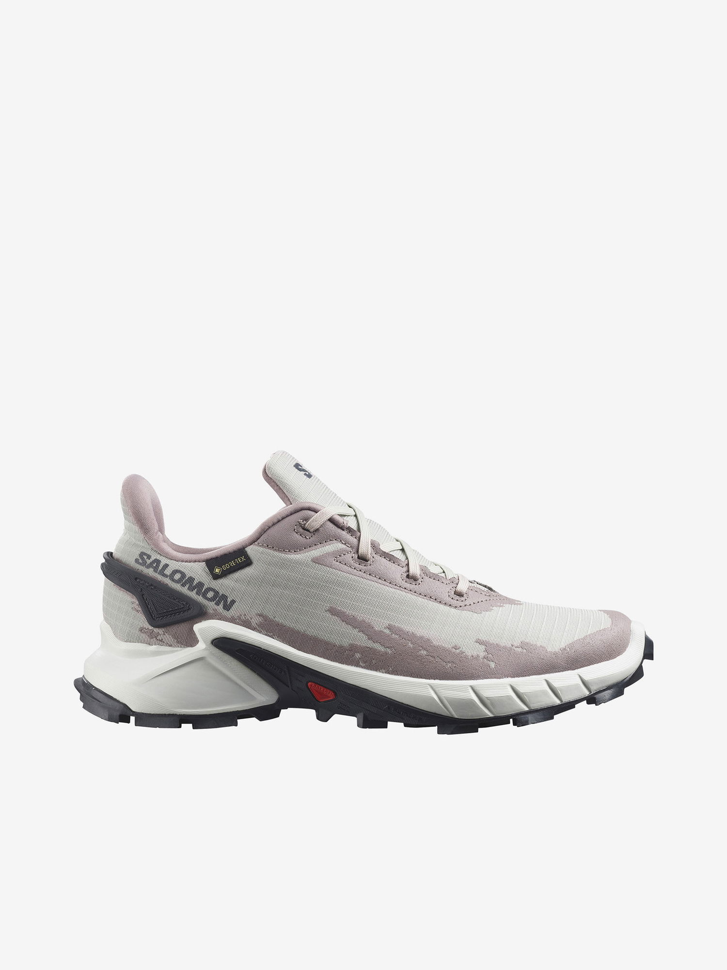 Tenisky a topánky Salomon Alphacross 4 GTX Šedá | L41723200, 1