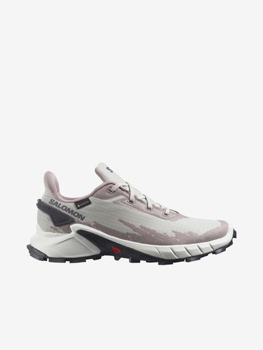 Tenisky a topánky Salomon Alphacross 4 GTX Šedá | L41723200, 1