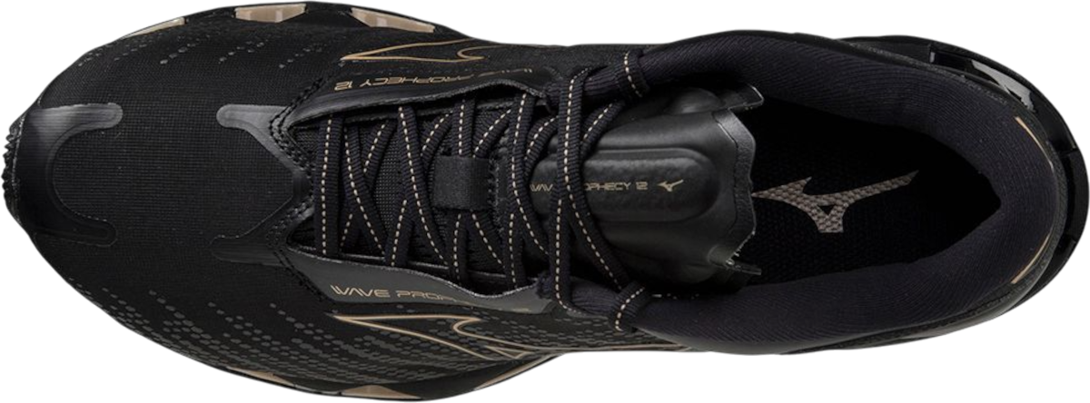 Tenisky a topánky Mizuno WAVE PROPHECY 12 Čierna | j1gc2383-033, 1
