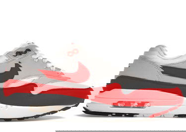 Tenisky a topánky Nike Air Max 1 Anniversary Red (2017/2018 Restock Pair) Červená | 908375-103, 3