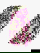 Dolce & Gabbana Peony Print Pleated Midi Skirt