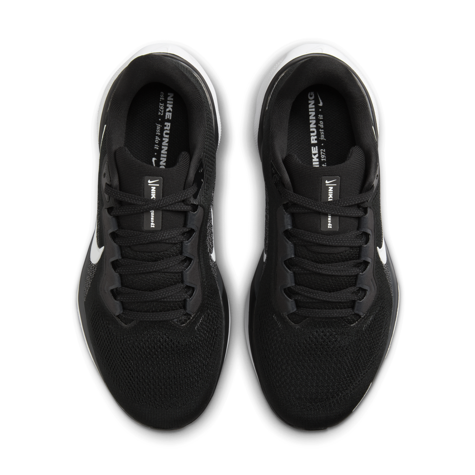 Air Zoom Pegasus 41 Extra Wide