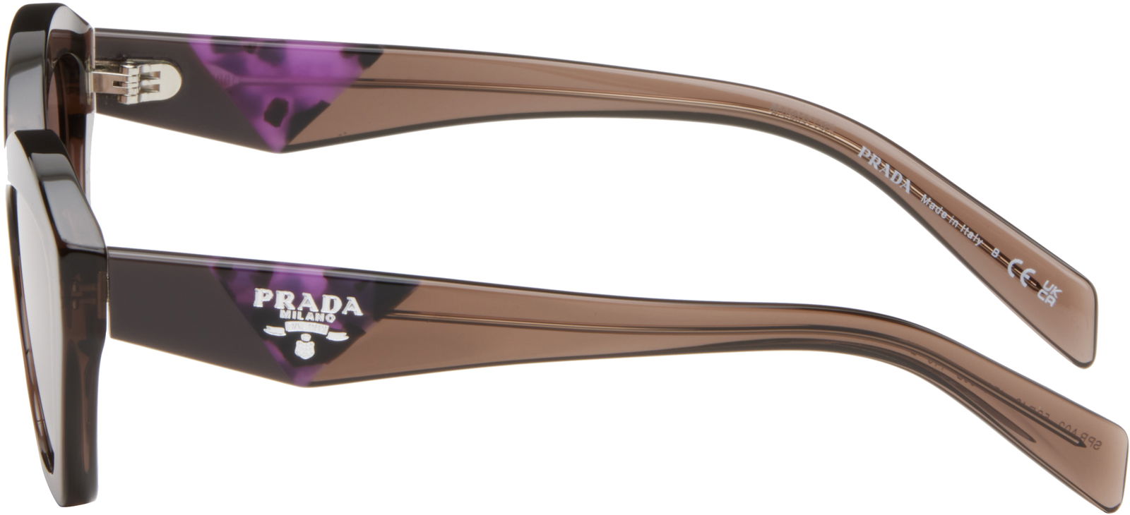 Angular Butterfly Acetate Sunglasses