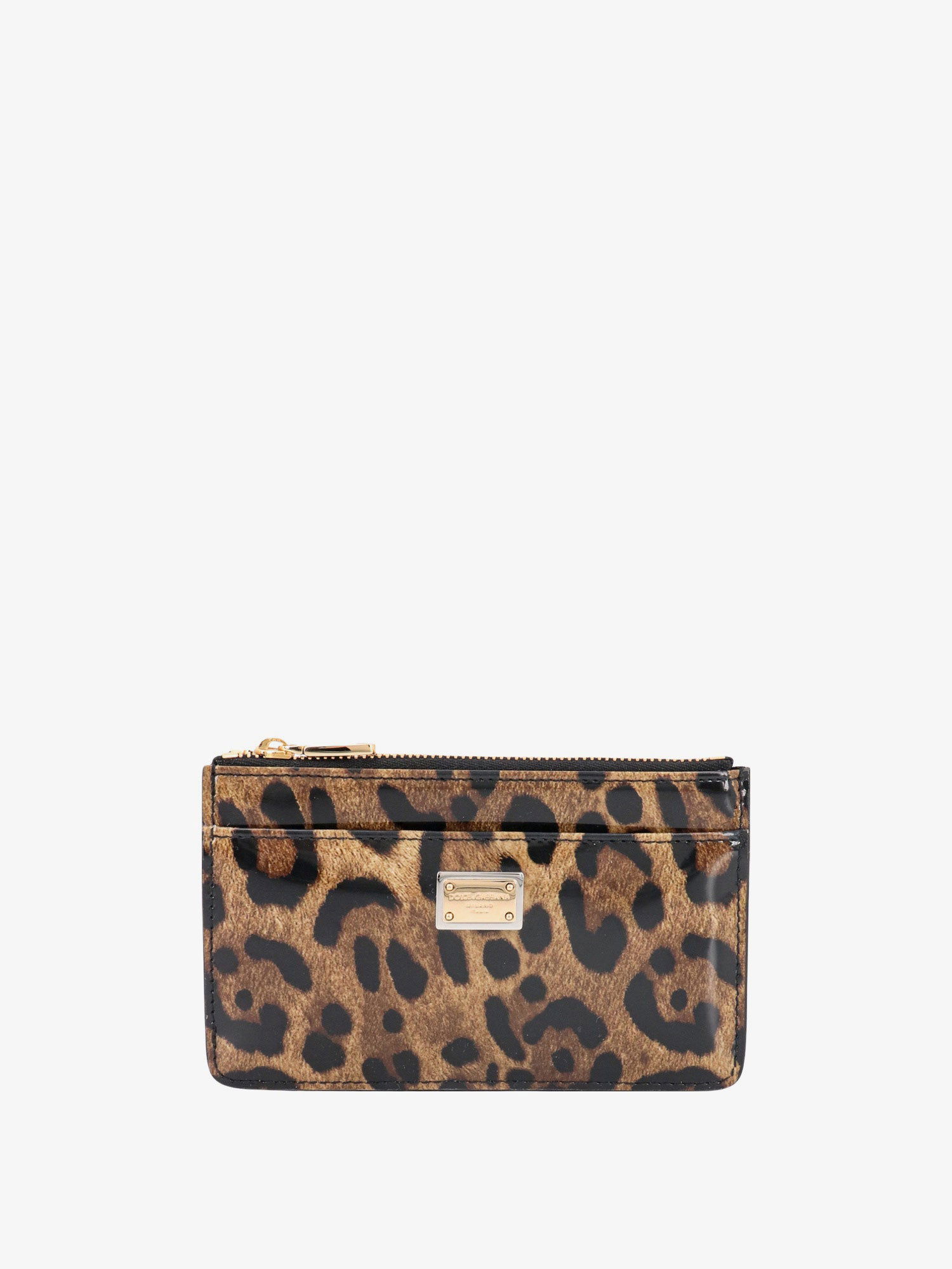 Peňaženka Dolce & Gabbana CARD HOLDER Hnedá | BI1261AM568HA93M, 0