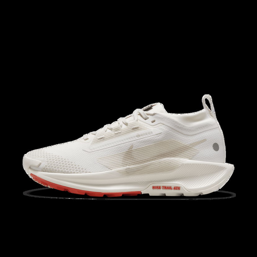 Tenisky a topánky Nike Pegasus Trail 5 GORE-TEX Biela | FQ0912-100