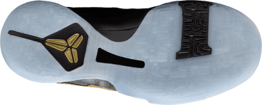 Tenisky a topánky Nike Kobe V Fialová | HM3753, 2