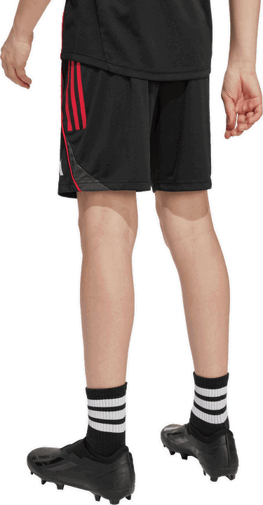 Šortky adidas Originals Ajax Amsterdam Training Shorts 2025/26 Čierna | jp1746, 1