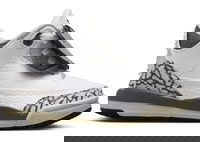 Jordan 3 Retro Hide N' Sneak