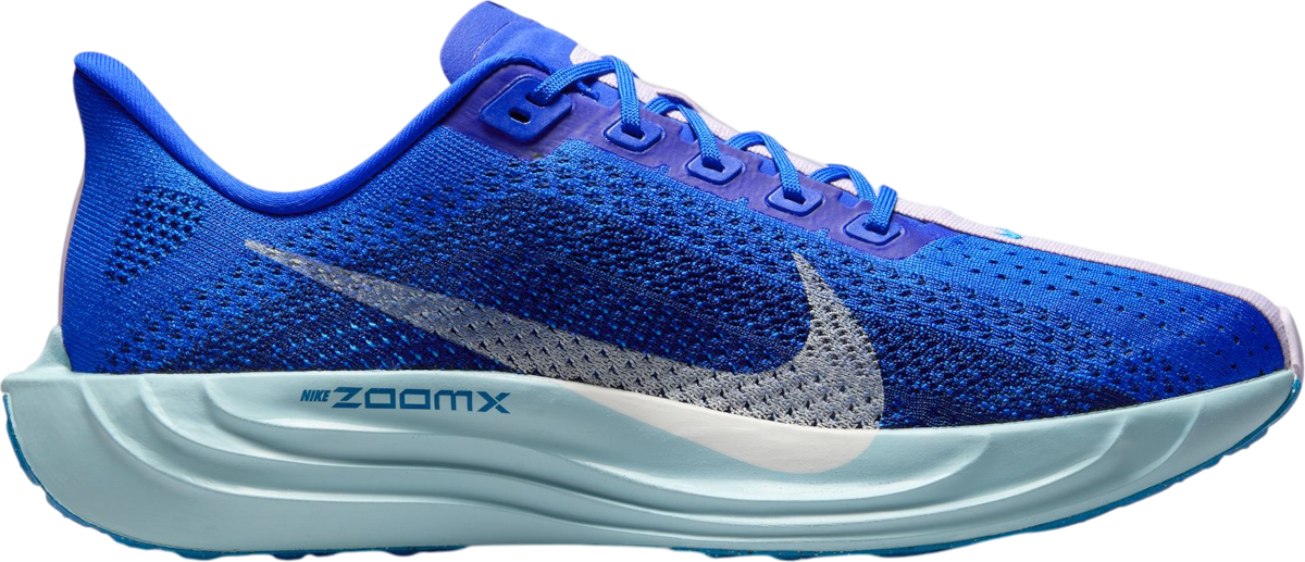 Tenisky a topánky Nike Pegasus Plus Premium Modrá | hq1719-400, 0