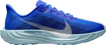 Tenisky a topánky Nike Pegasus Plus Premium Modrá | hq1719-400, 0