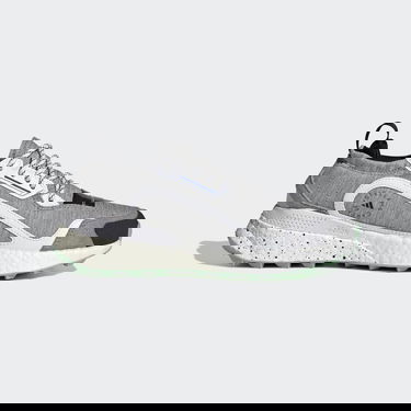 Tenisky a topánky adidas Performance Stella McCartney x COLD.RDY OutdoorBoost 2.0 Šedá | GY0465, 1