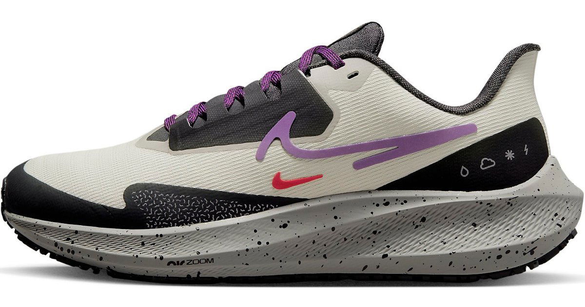 Air Zoom Pegasus 39