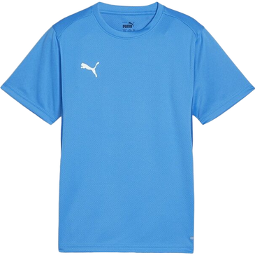 Tričko Puma teamGOAL T-Shirt Tyrkysová | 658636-02, 0