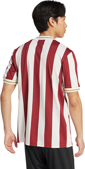 Dres adidas Originals 1. FC Nürnberg 125th Anniversary Special Jersey by adidas Originals Červená | 5fcnjg6350, 5