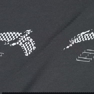 Tričko Tommy Hilfiger Tommy Jeans Grunge Archive Back Cotton-Jersey Šedá | DM0DM17719PUB, 2