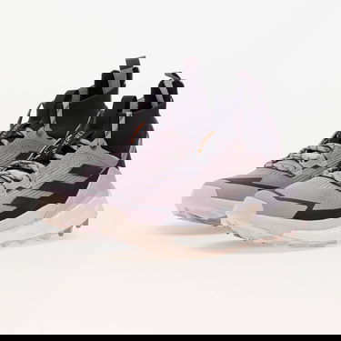 Tenisky a topánky adidas Performance Terrex Free Hiker 2 W Prlofi/ Aurbla/ Silver Dawn Fialová | IG8896, 5