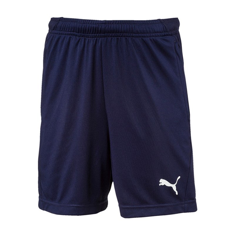 Šortky Puma Puma Liga Training Shorts Navy | 655641-006, 0