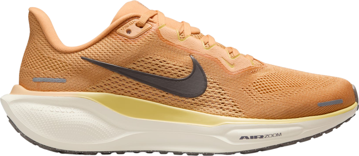 Tenisky a topánky Nike Pegasus 41 Oranžová | fd2723-800, 0