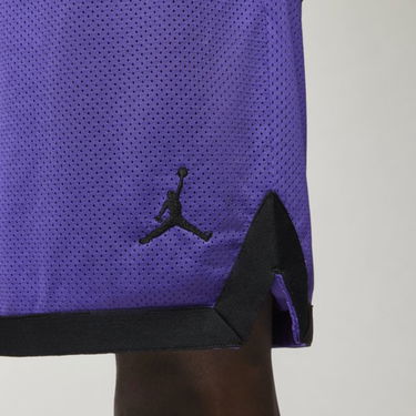 Šortky Jordan Sport DNA Mesh Shorts Fialová | DM1414-579, 3